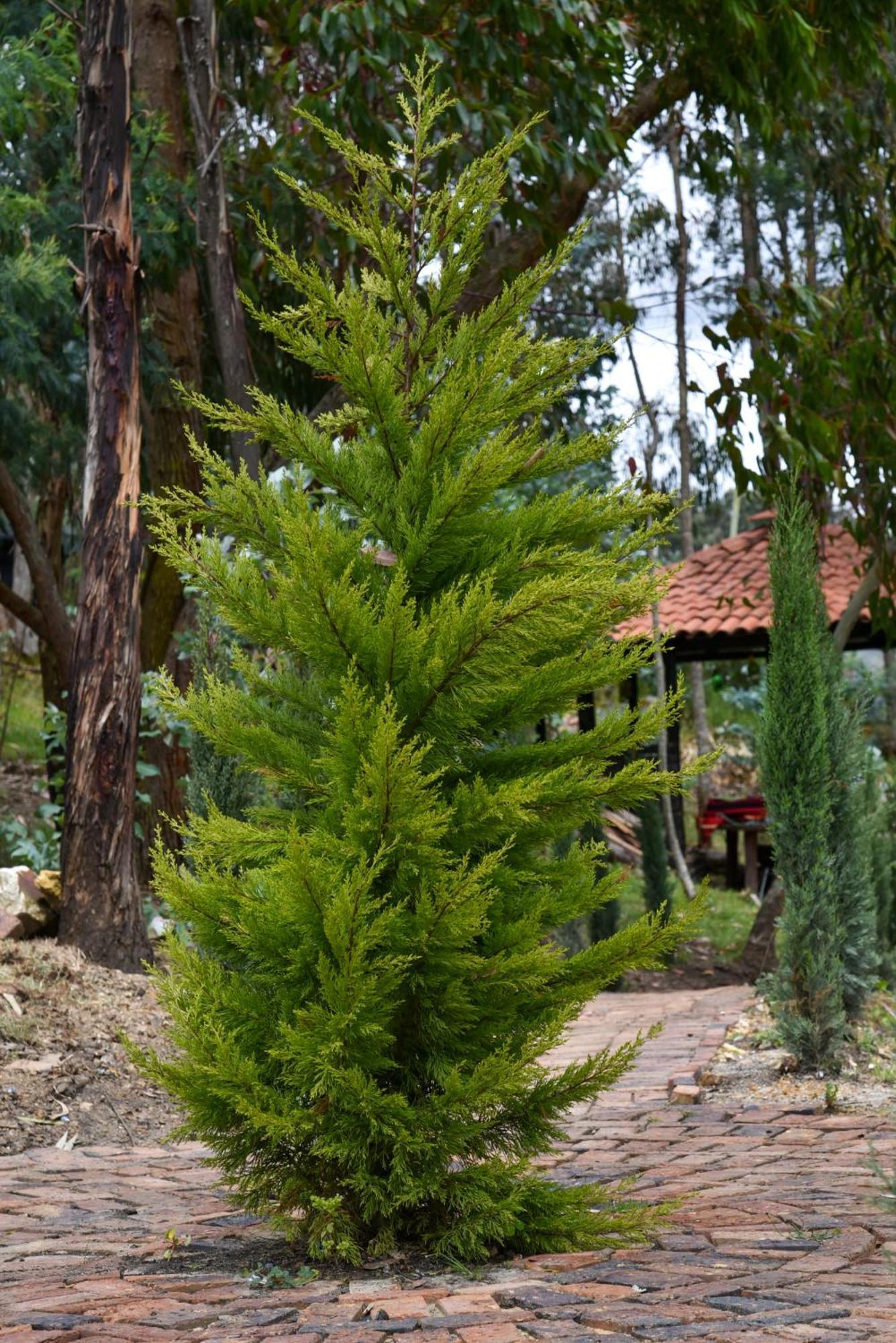 Hotel Golden Glamping Guatavita Exteriér fotografie